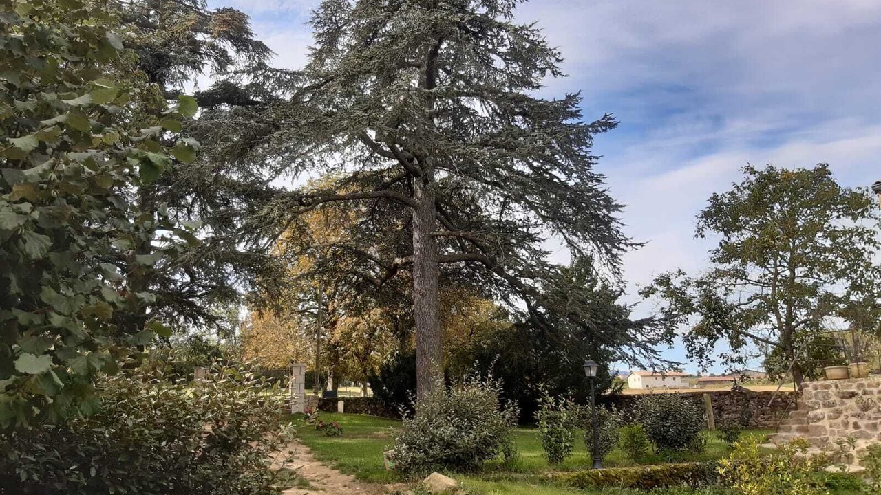 Photo of Outdoor in Saint-Cyr
