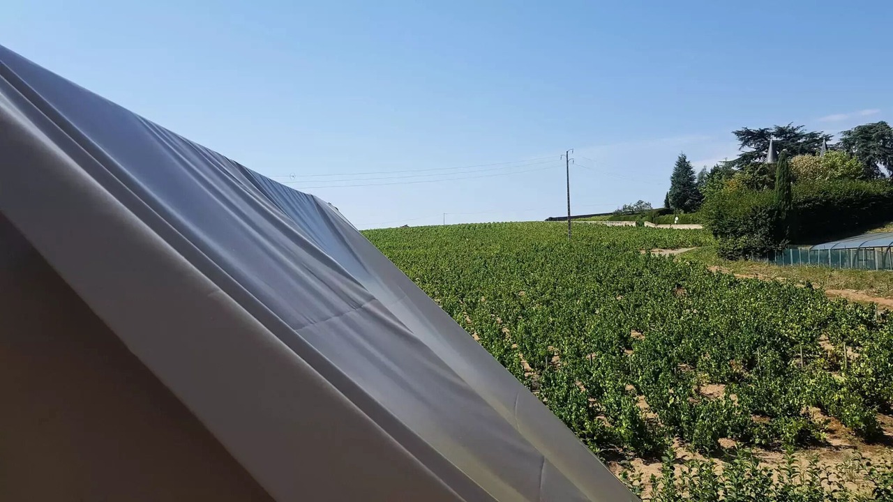 Photo of Outdoor in Fleurie