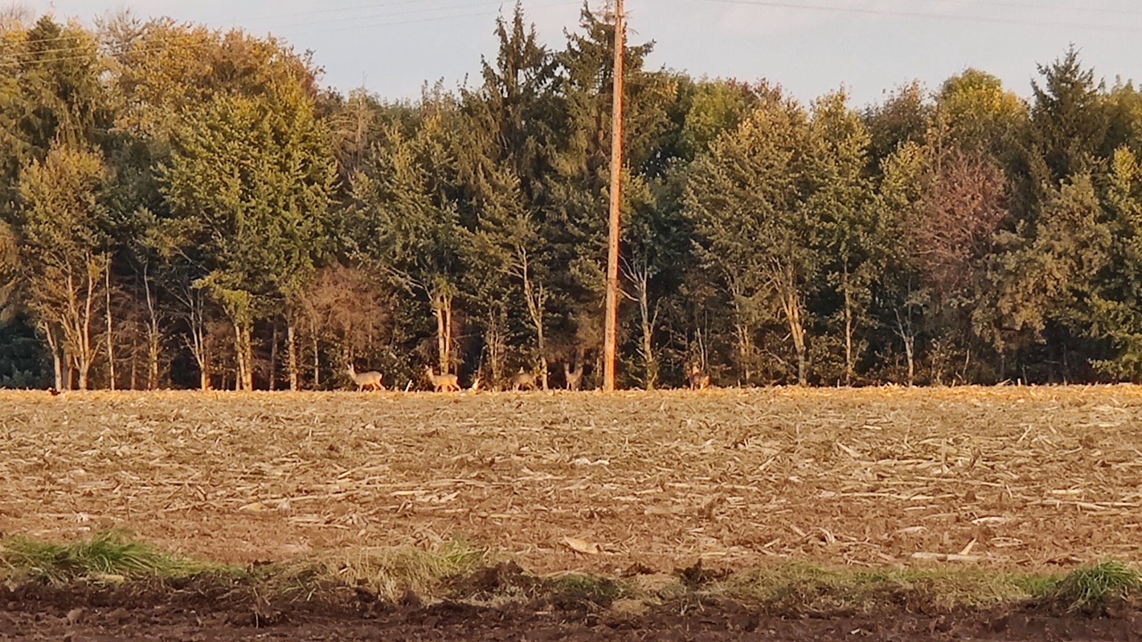 Photo of Outdoor in Plombieres-les-Bains