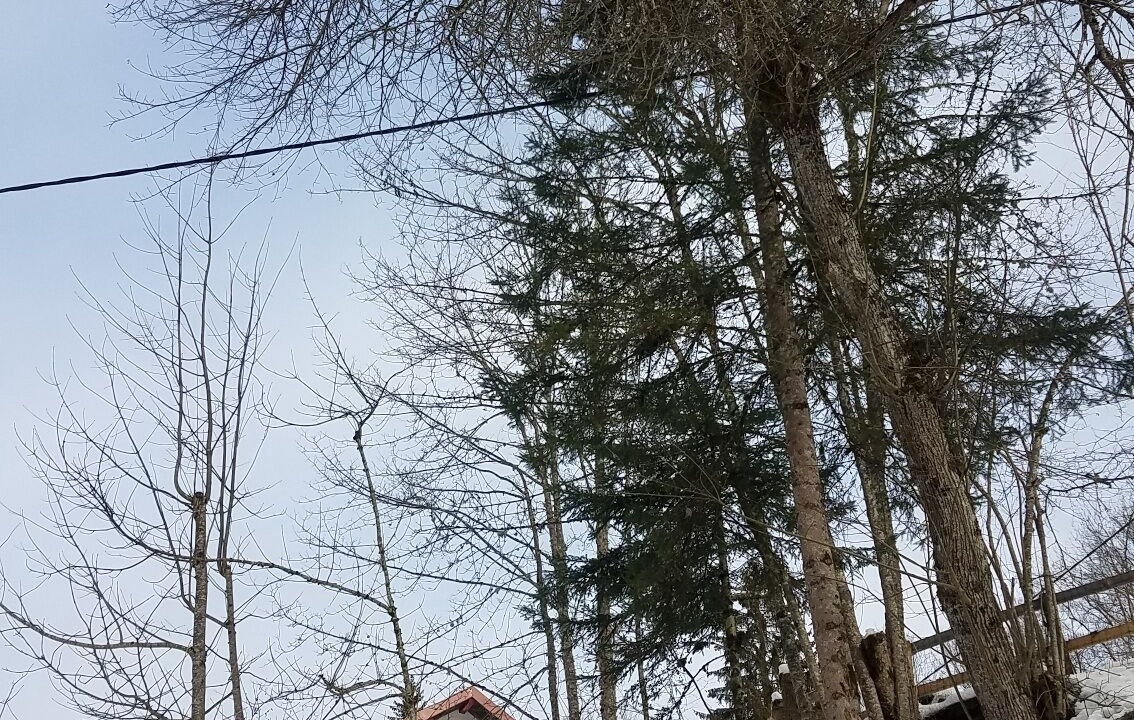 Photo of Outdoor in Montperreux
