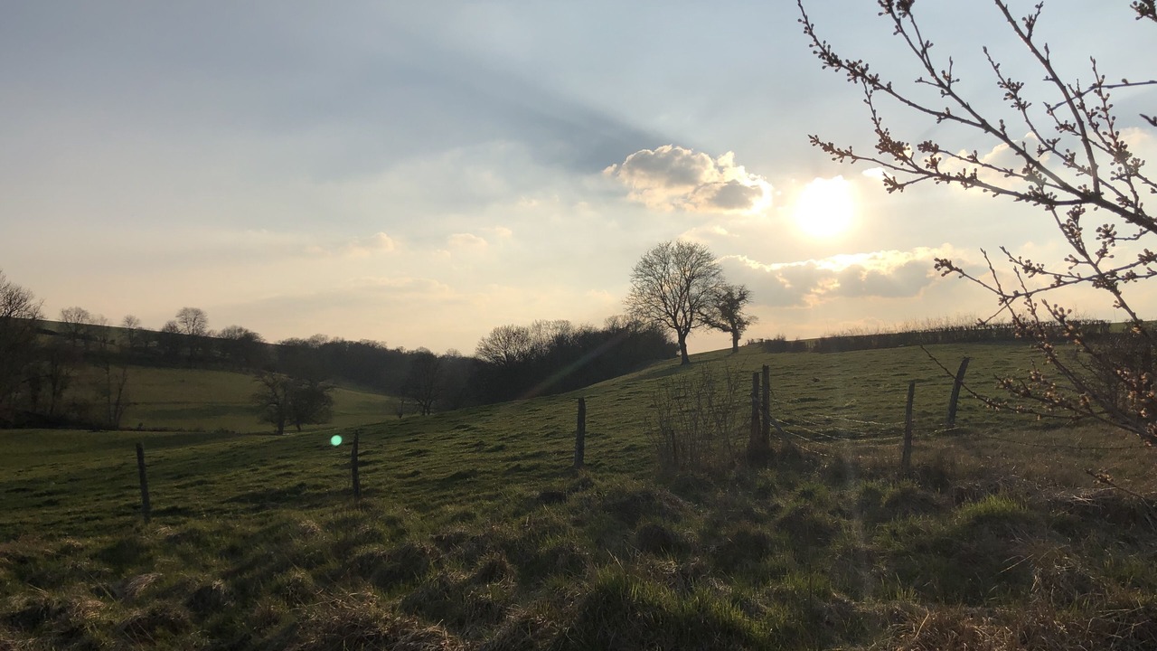 Photo of Outdoor in Cuncy-les-Varzy