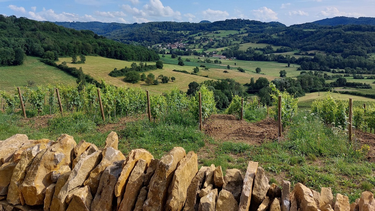 Photo of Outdoor in Montaigu