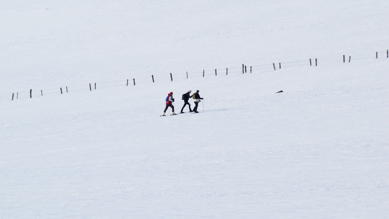 Photo of Others in Laguiole