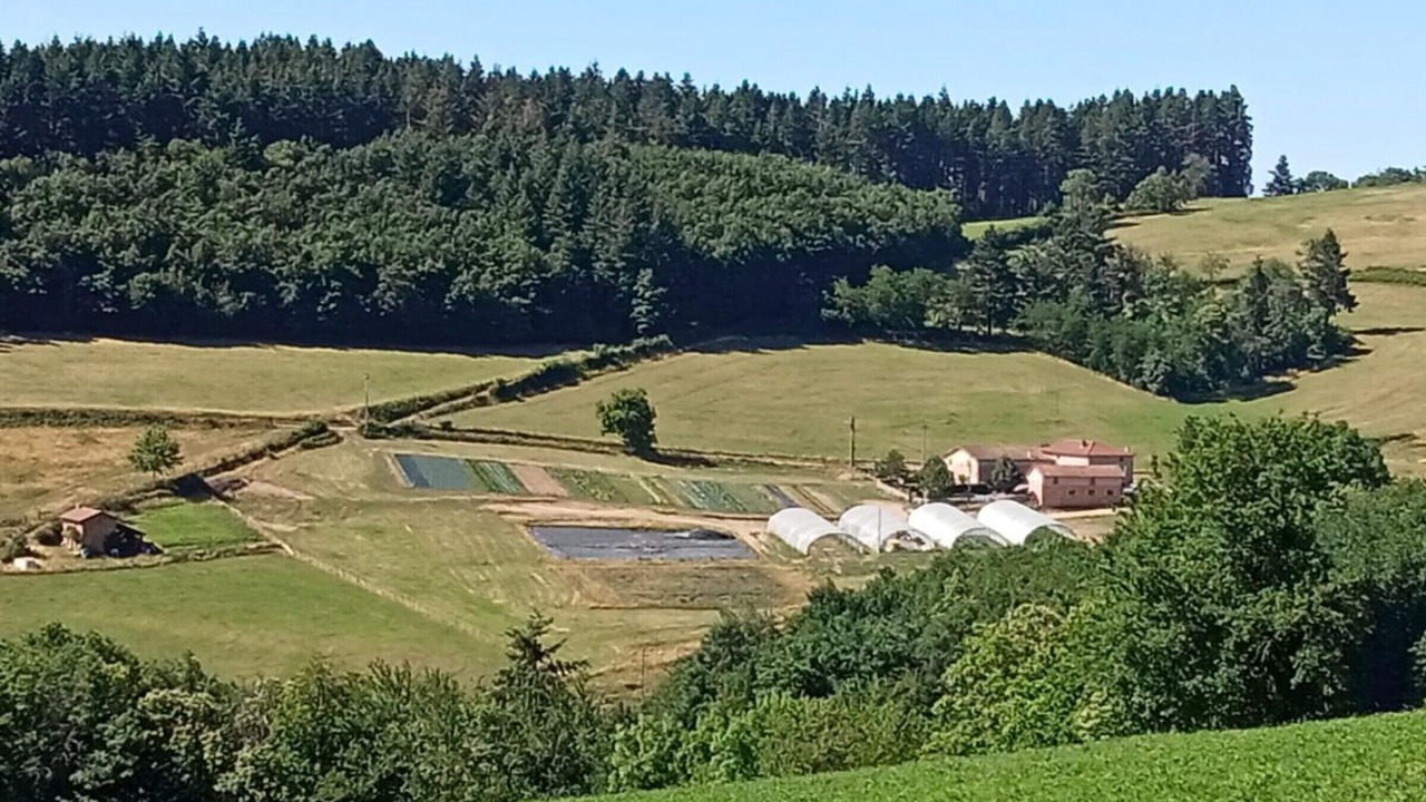 Photo of Others in Sevelinges
