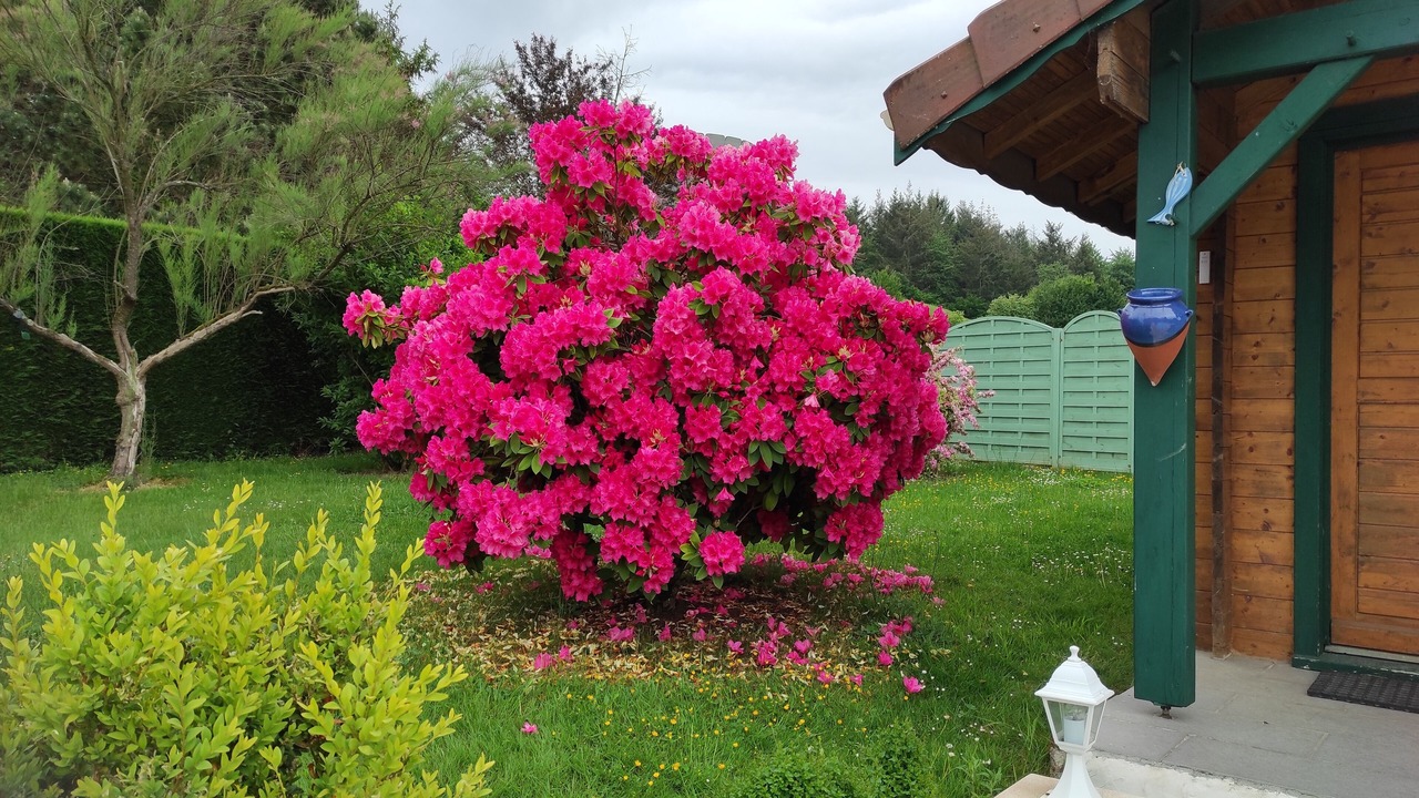 Photo of Outdoor in Damparis