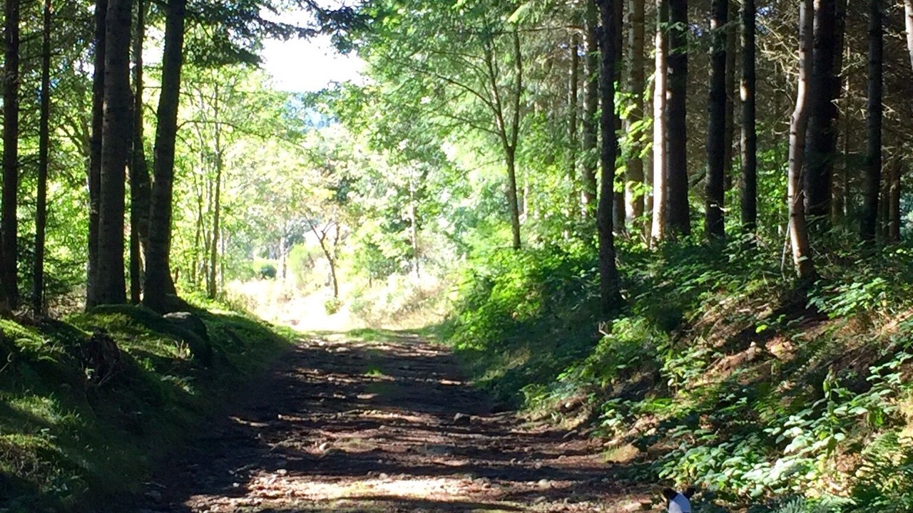 Photo of Outdoor in Fayet-Ronaye