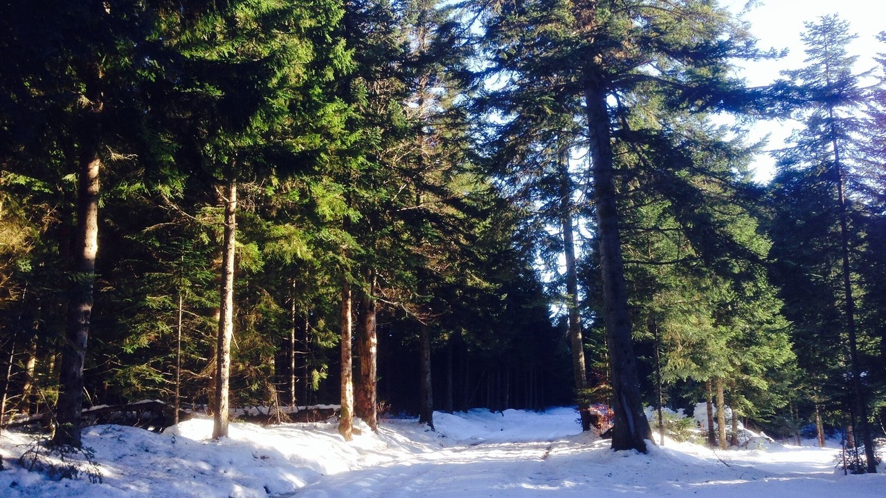 Photo of Outdoor in Fayet-Ronaye