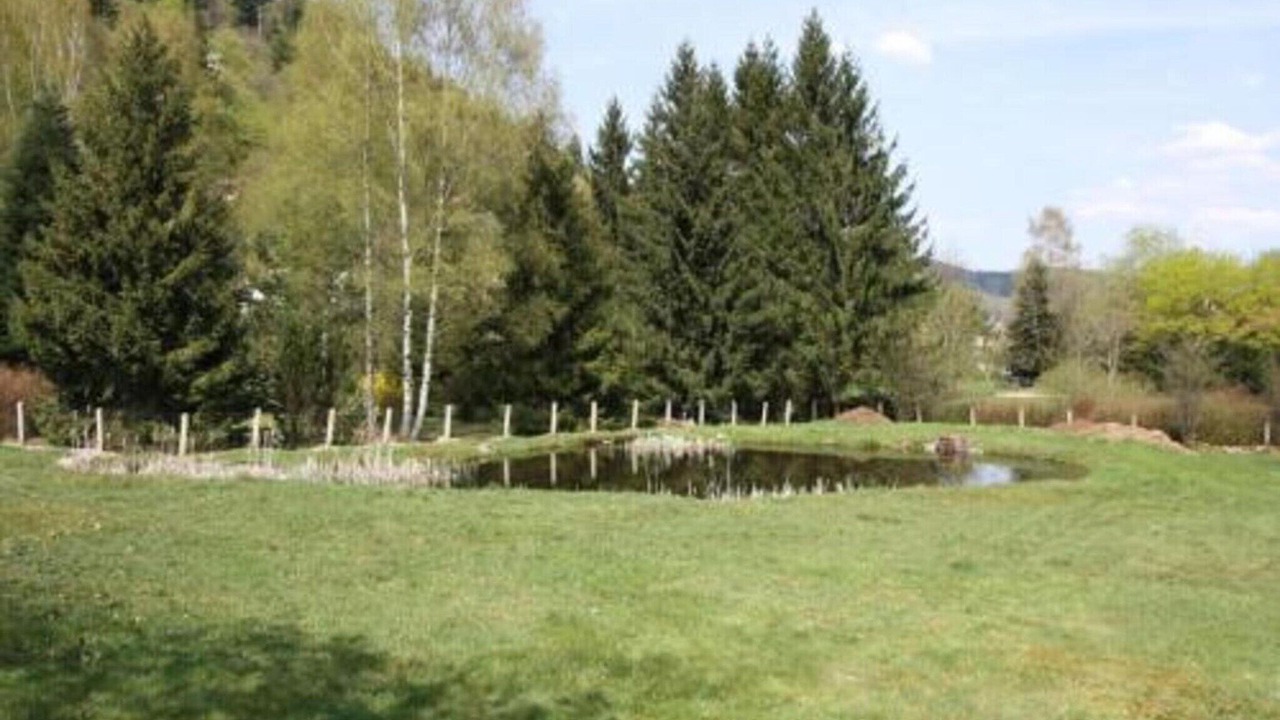 Photo of Others in Le Thillot