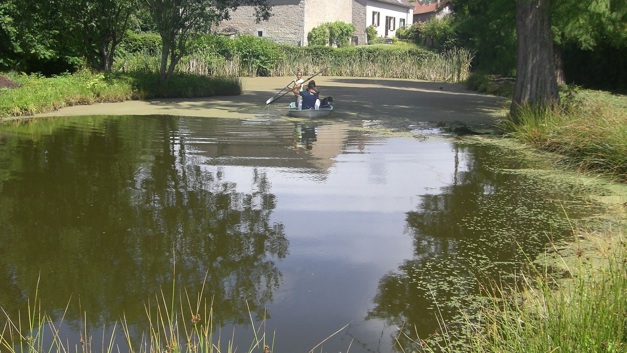 Photo of Others in Lormes