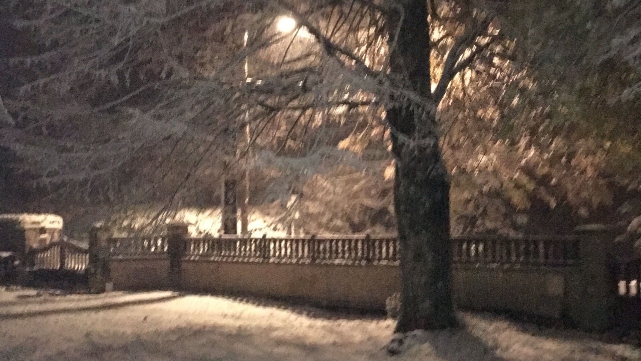 Photo of Outdoor in Lormes