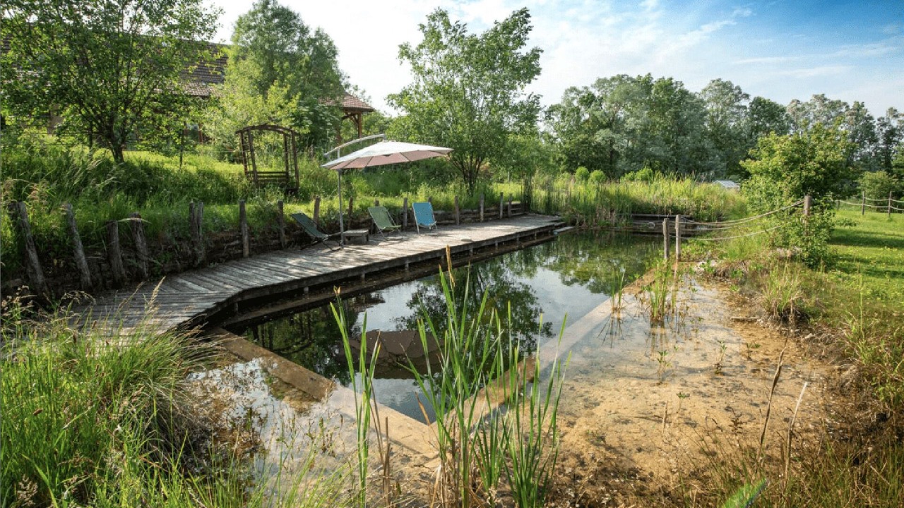 Photo of Outdoor in Saint Usuge