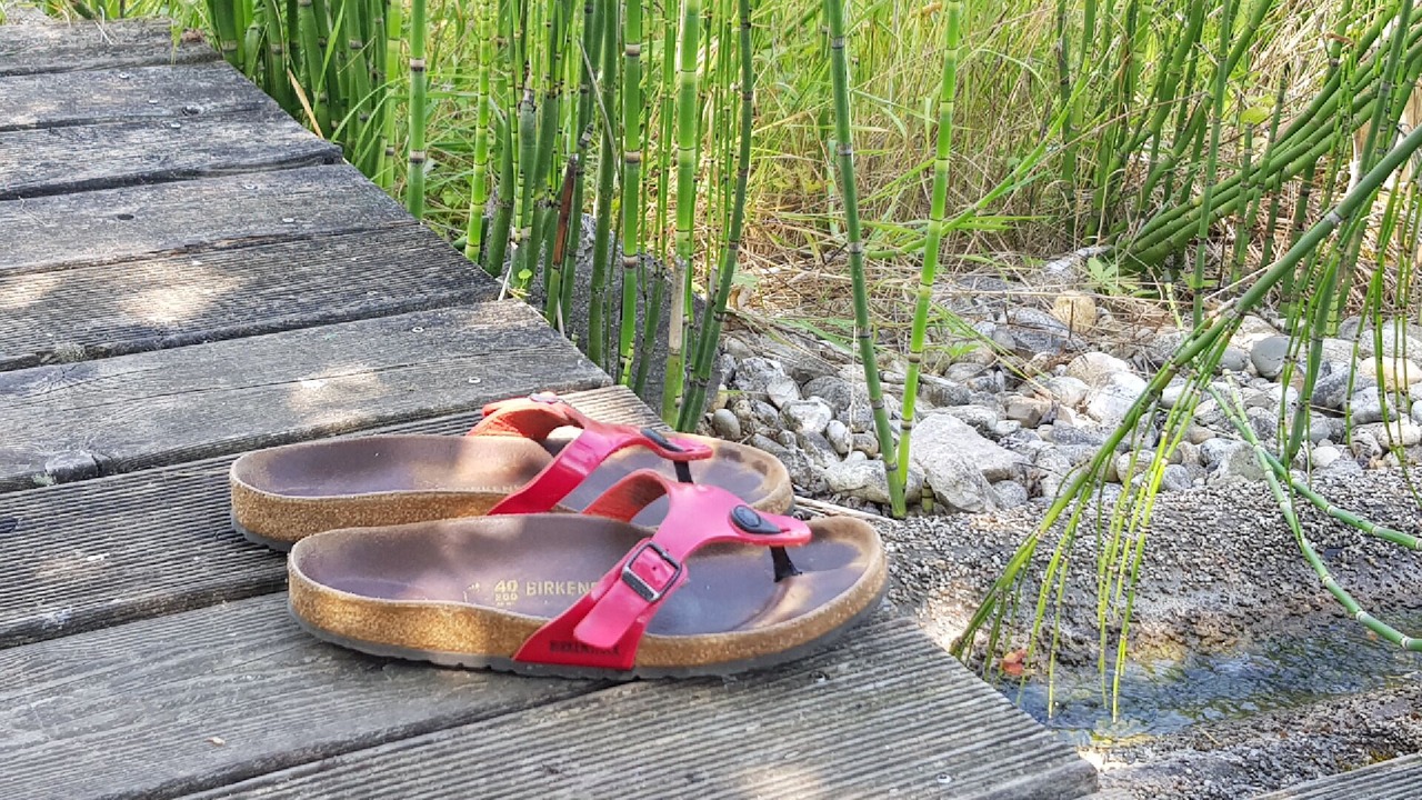 Photo of Outdoor in Saint Usuge