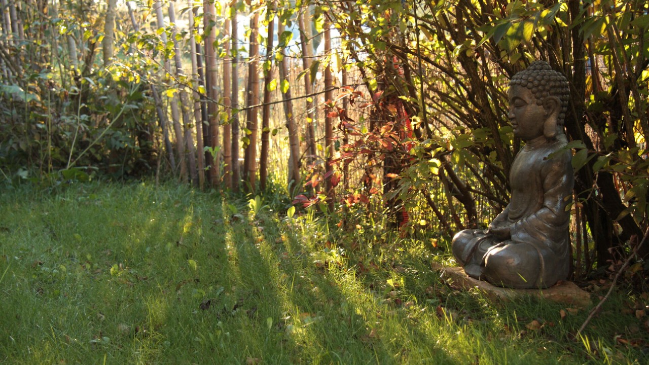 Photo of Outdoor in Saint Usuge