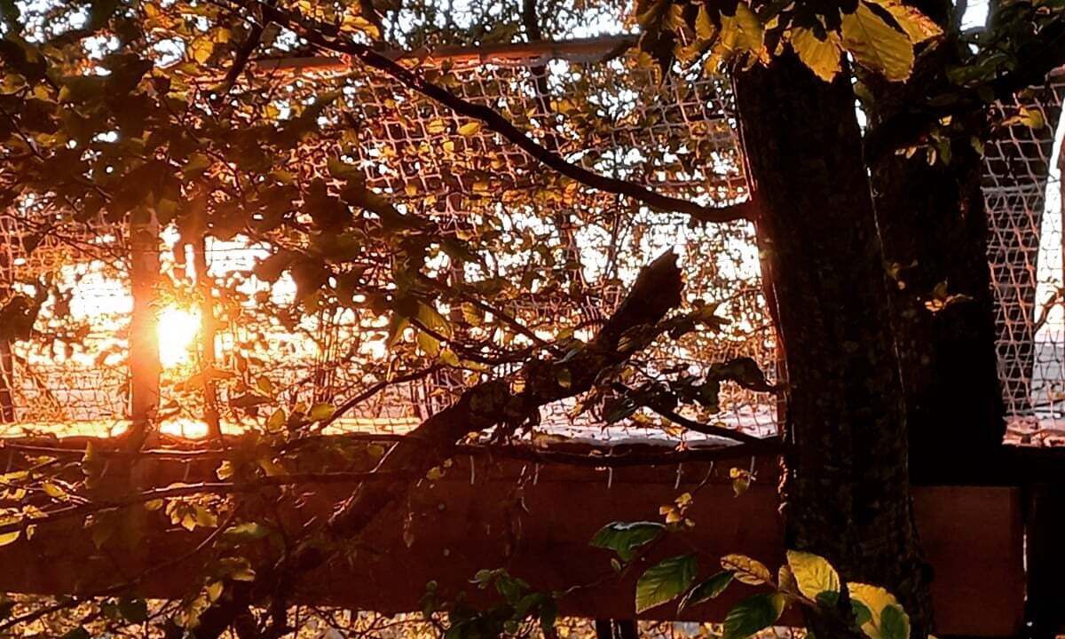 Photo of Outdoor in Saint-Germain-des-Champs