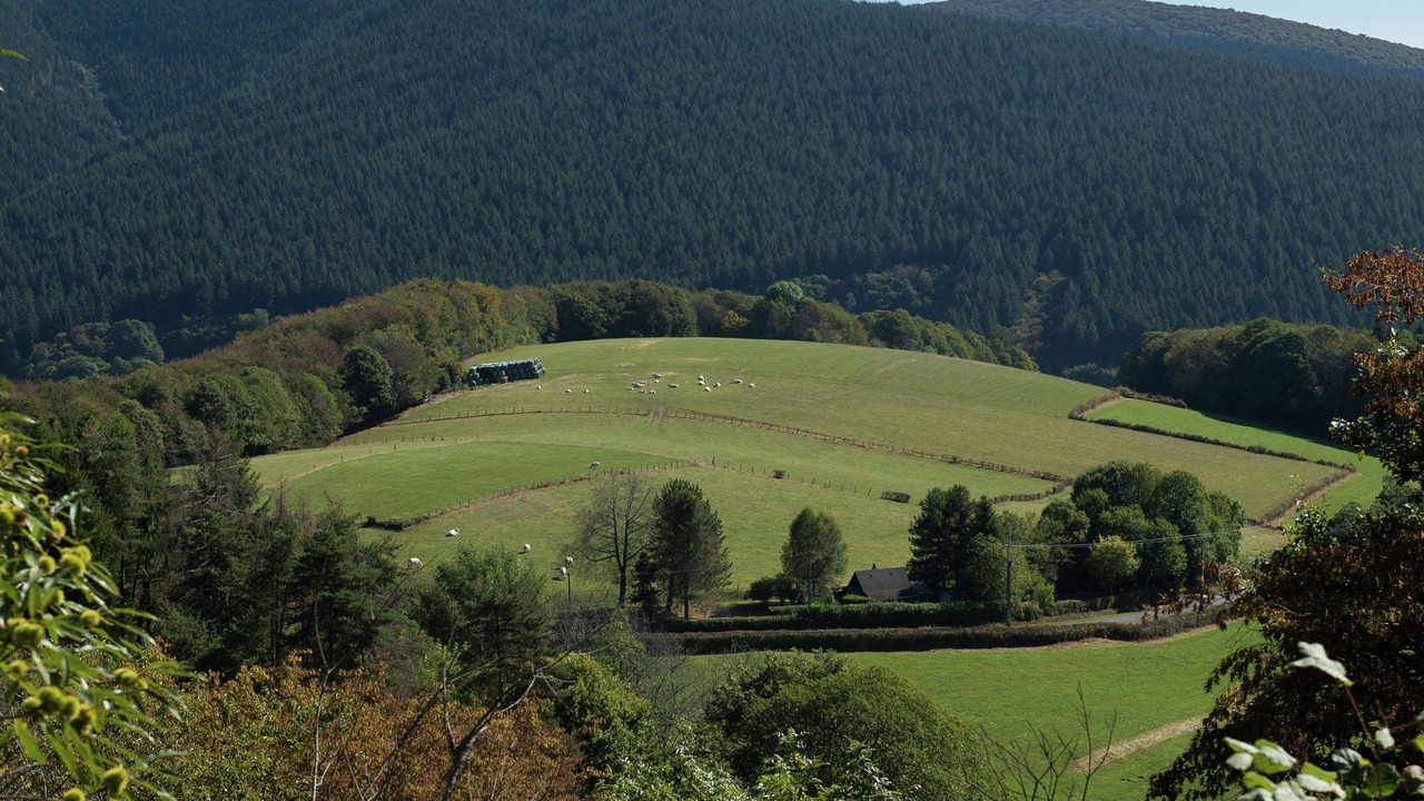 Photo of Others in Saint-Honore-les-Bains