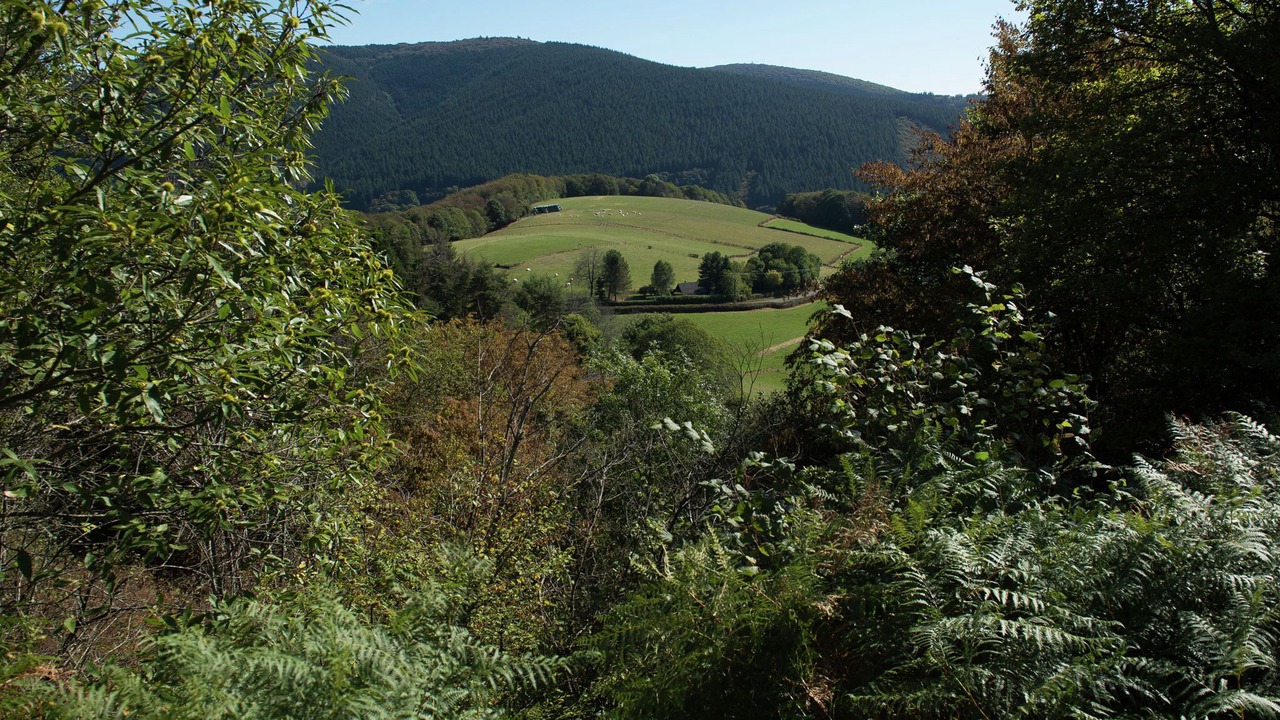 Photo of Others in Saint-Honore-les-Bains