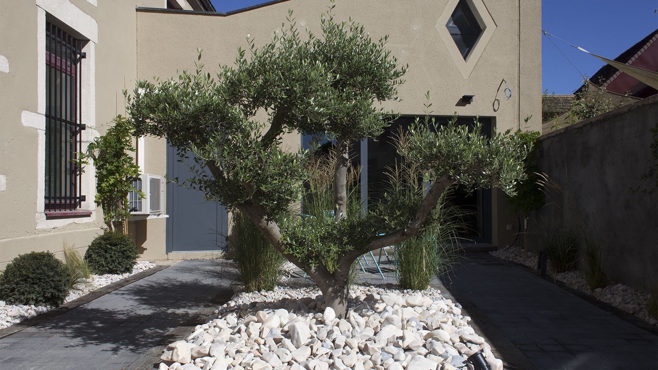 Photo of Outdoor in Louhans