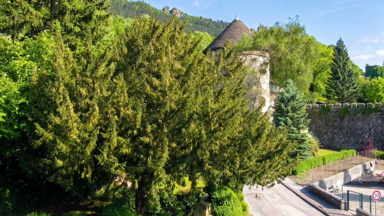 Photo of Outdoor in Salins-les-Bains