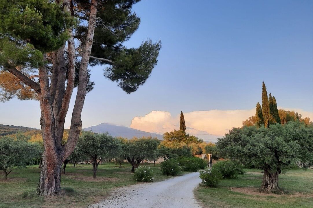 Photo of Outdoor in Caromb