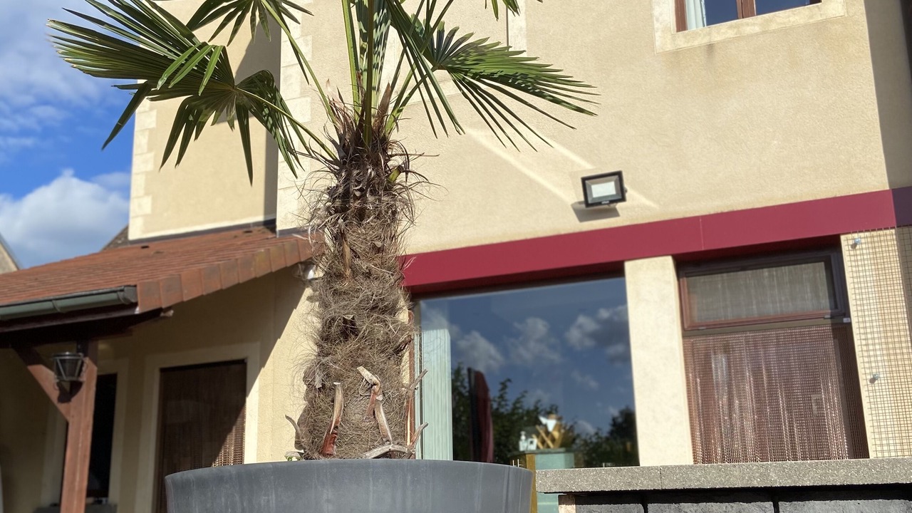 Photo of Outdoor in Toulon-sur-Arroux