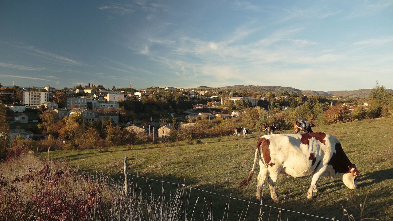 Photo of Others in Villeneuve-de-Berg