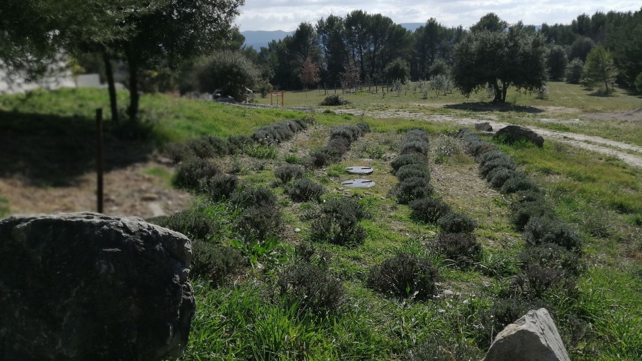 Photo of Outdoor in Puget