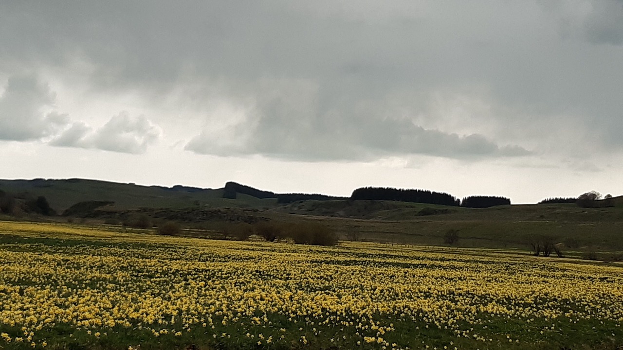Photo of Outdoor in Termes