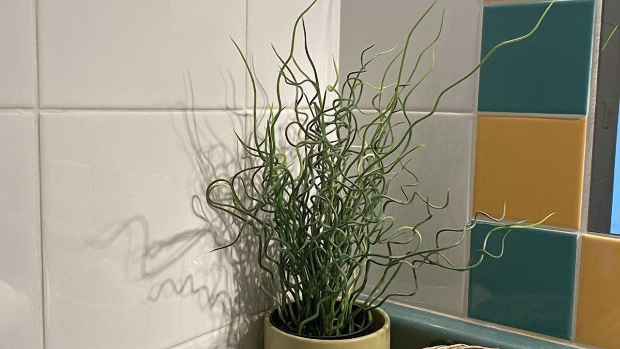 Photo of Bathroom in Labergement-Sainte-Marie