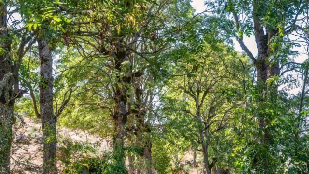 Photo of Outdoor in Brion