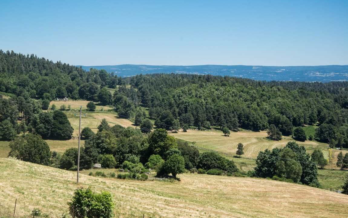 Photo of Others in Peyre-en-Aubrac