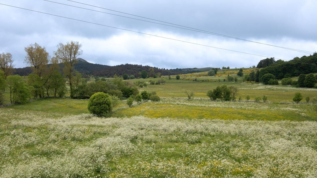 Photo of Others in Saint-Laurent-de-Muret