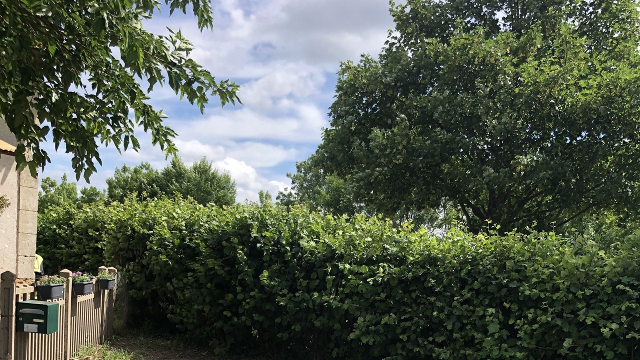 Photo of Outdoor in Taize