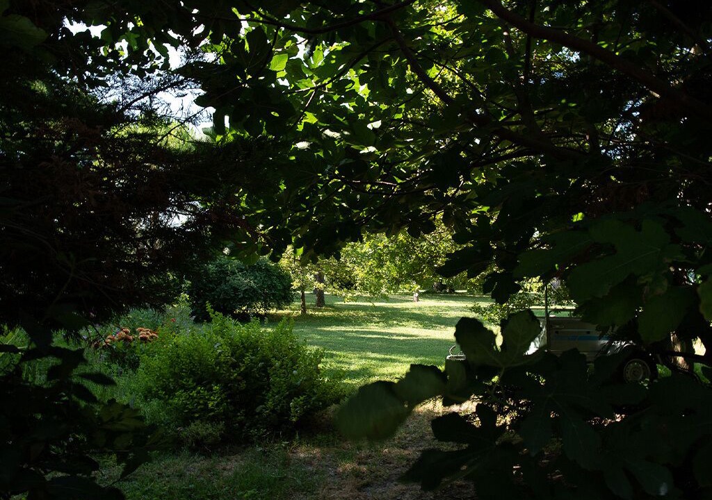 Photo of Outdoor in Visan