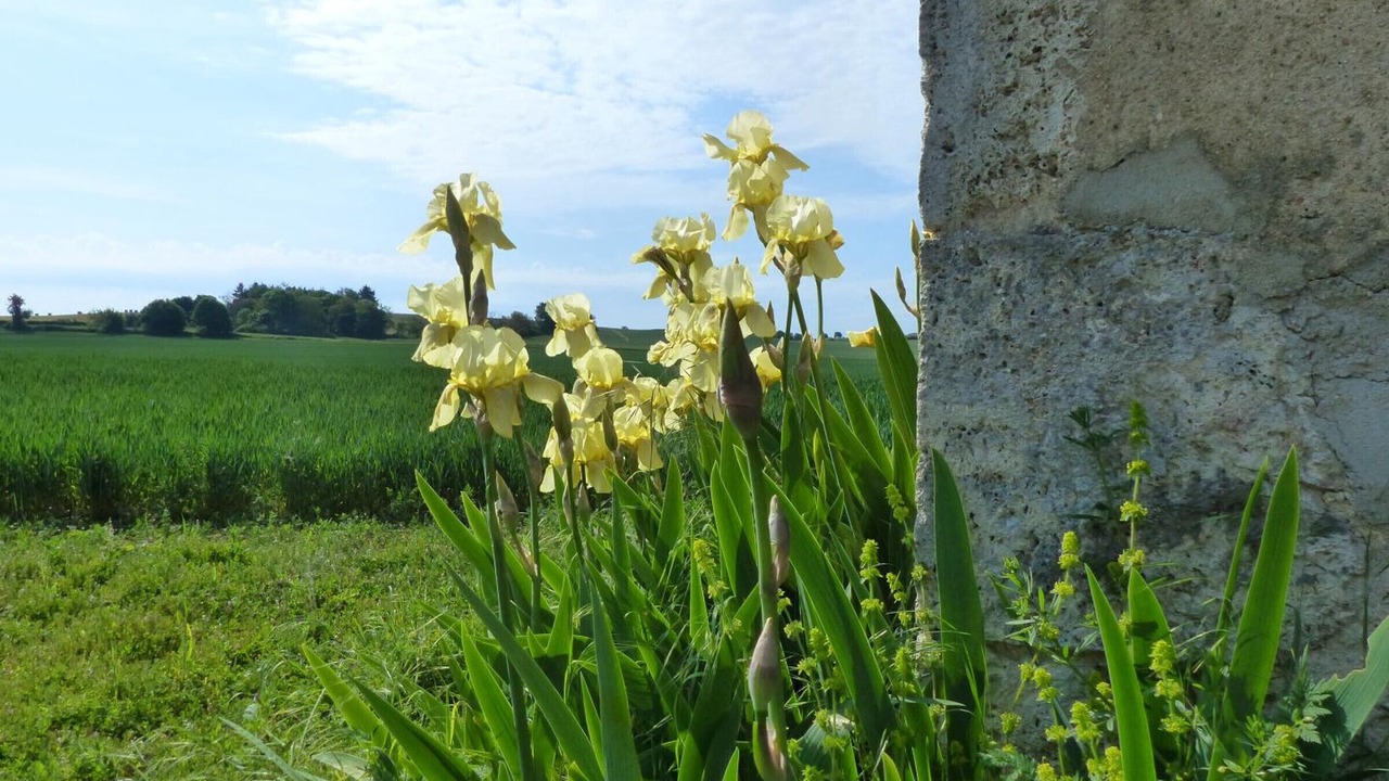 Photo of Outdoor in Rongeres