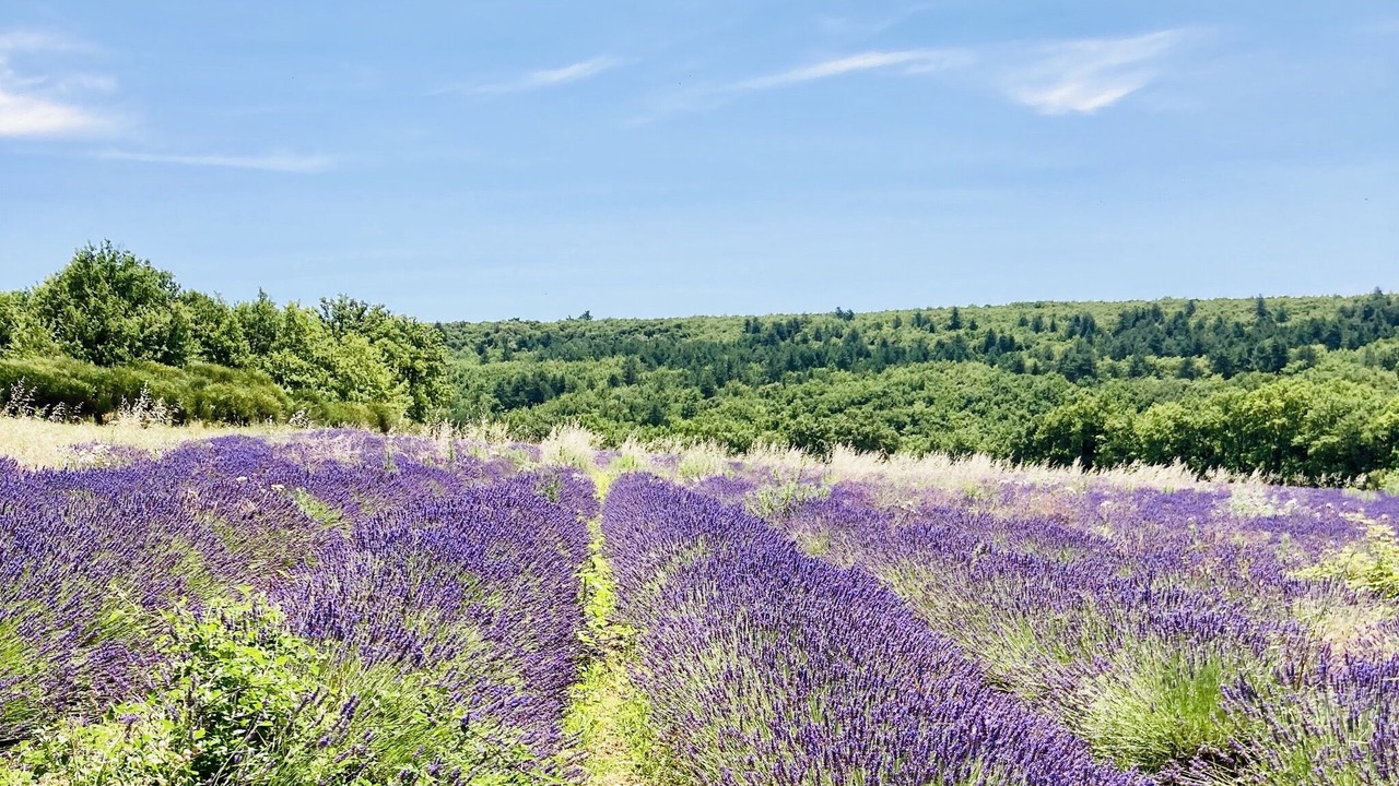 Photo of Outdoor in Valaurie