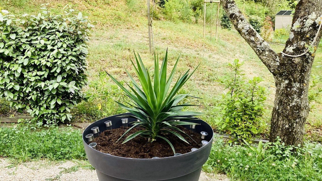 Photo of Outdoor in Valaurie