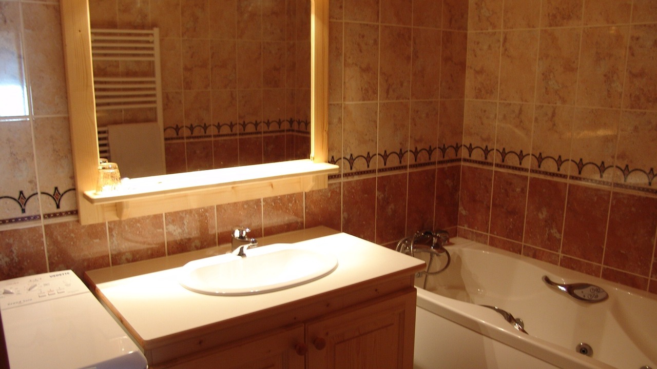 Photo of Bathroom in Bonneval-sur-Arc