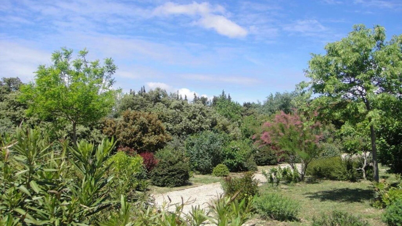 Photo of Others in Buisson