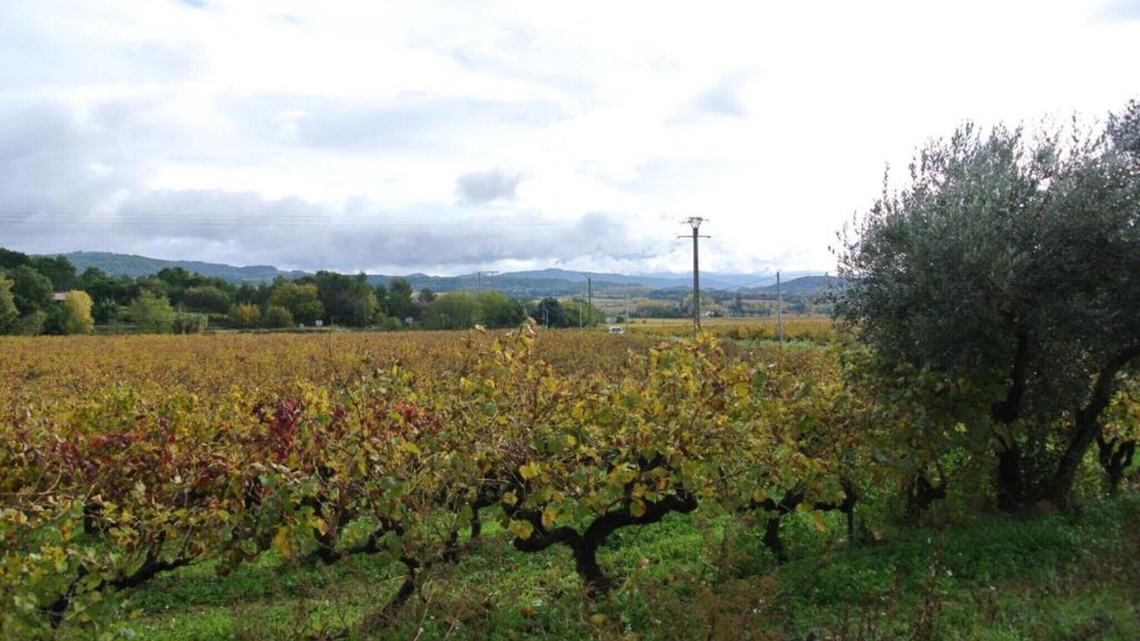 Photo of Others in Buisson