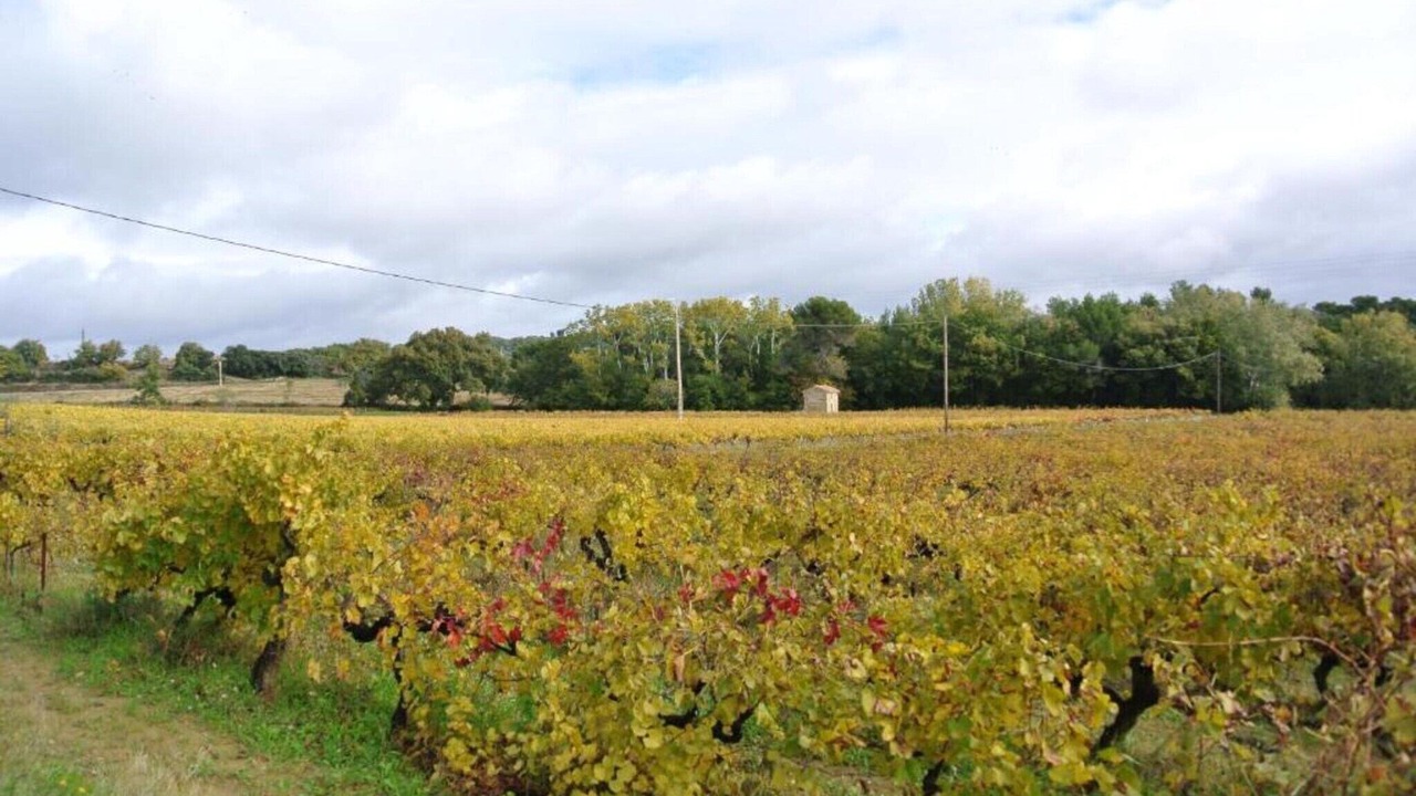 Photo of Others in Buisson