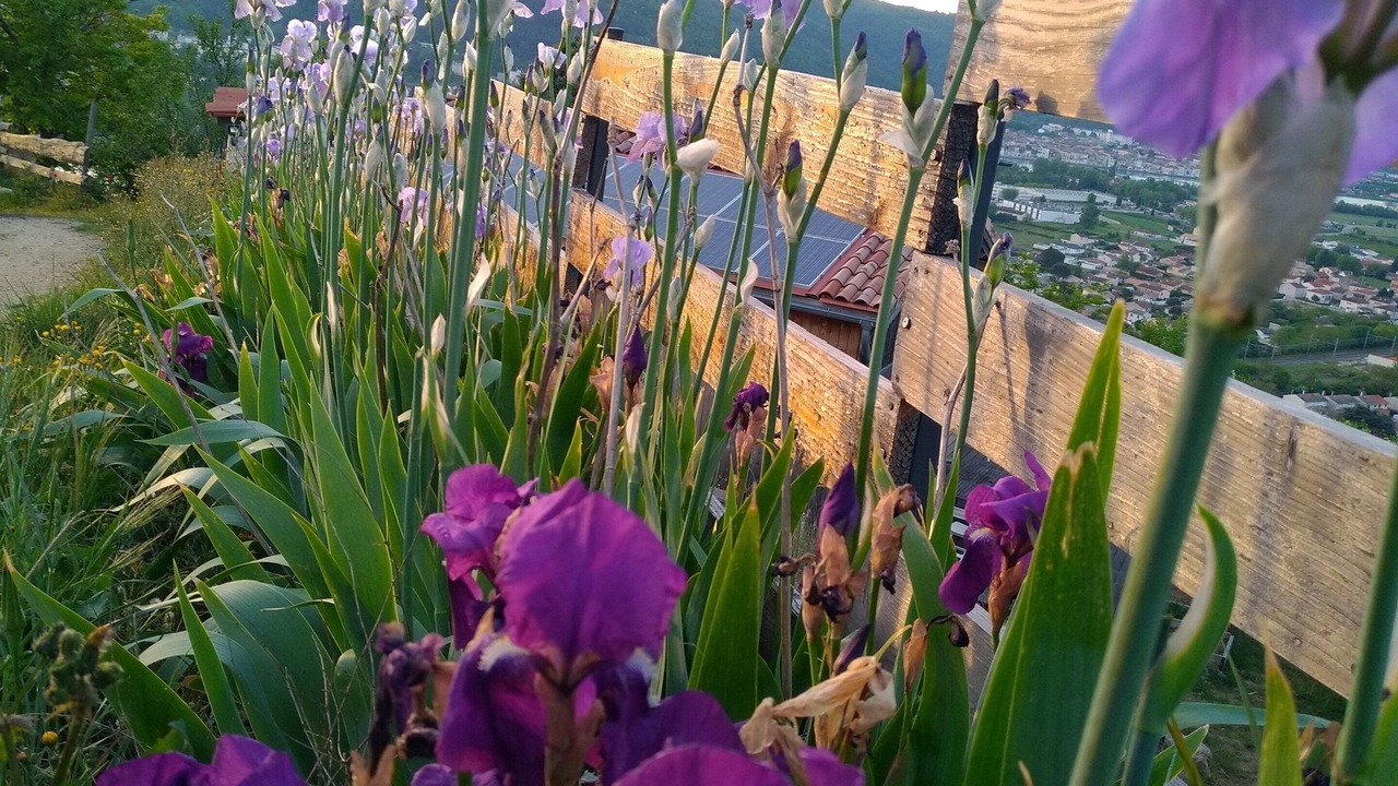 Photo of Outdoor in Sarras