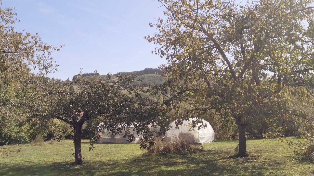 Photo of Others in Buffieres
