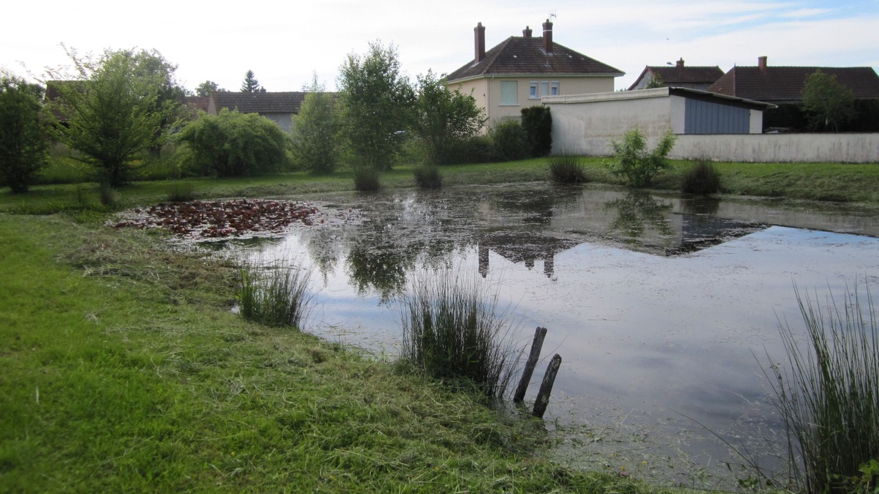 Photo of Outdoor in Saint-Bonnet-en-Bresse