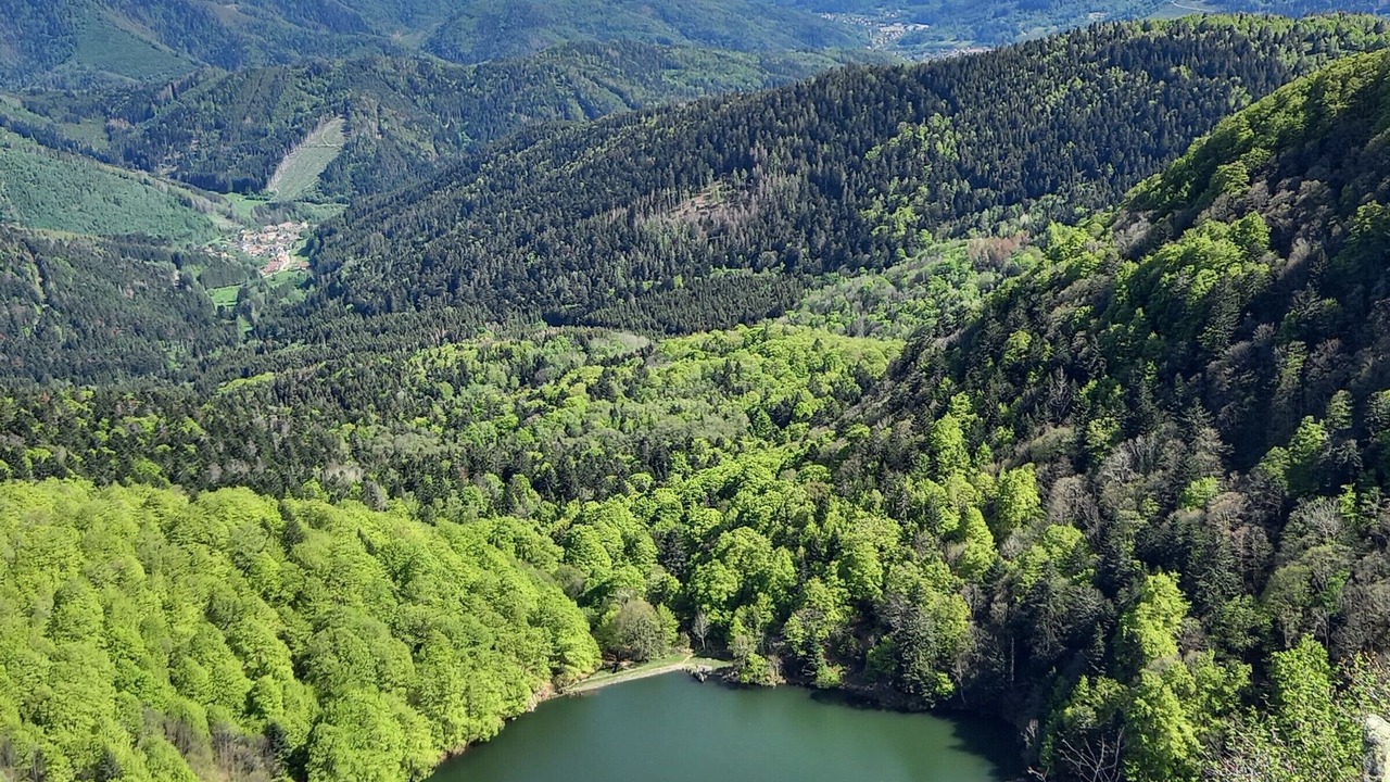 Photo of Outdoor in Rupt-sur-Moselle
