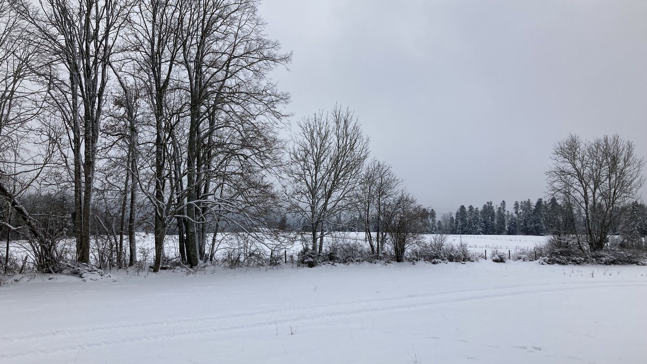 Photo of Others in Longemaison