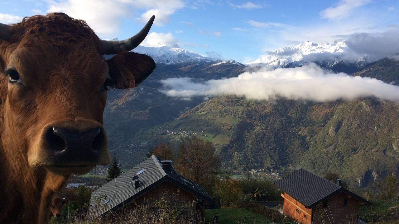 Photo of Outdoor in Navette