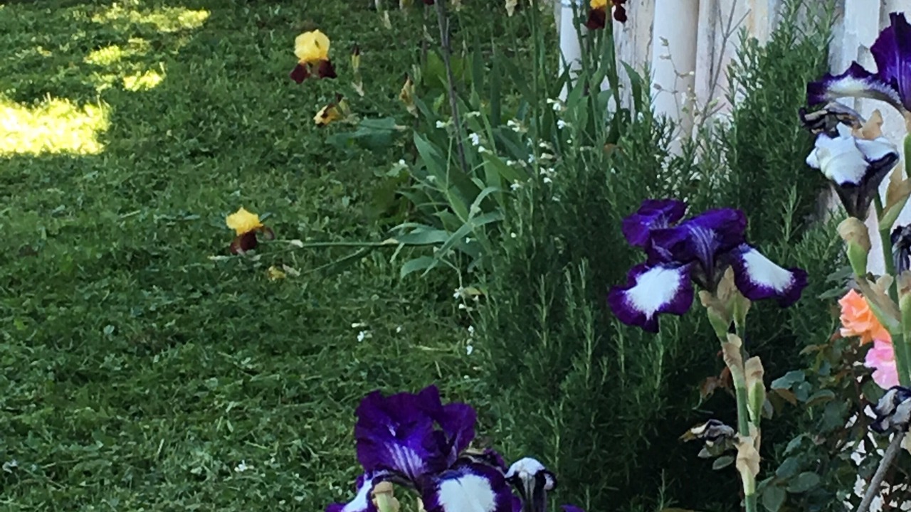 Photo of Outdoor in Lamastre