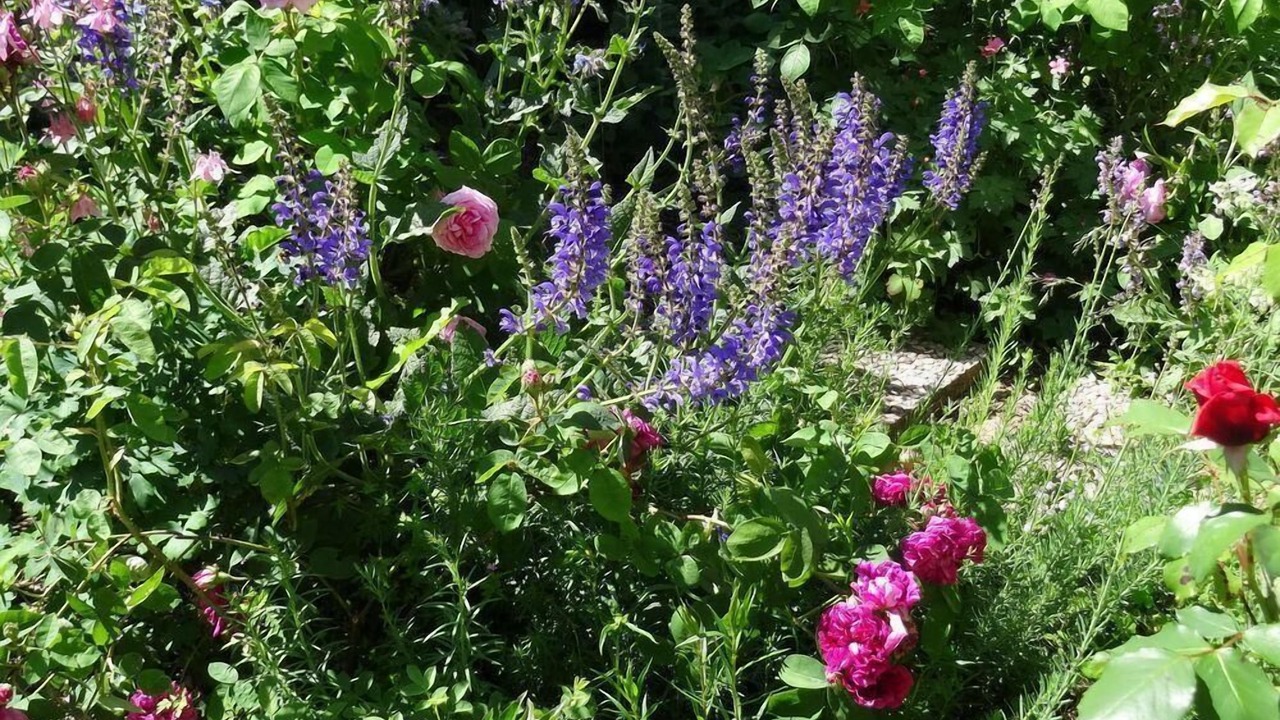 Photo of Outdoor in Trampot