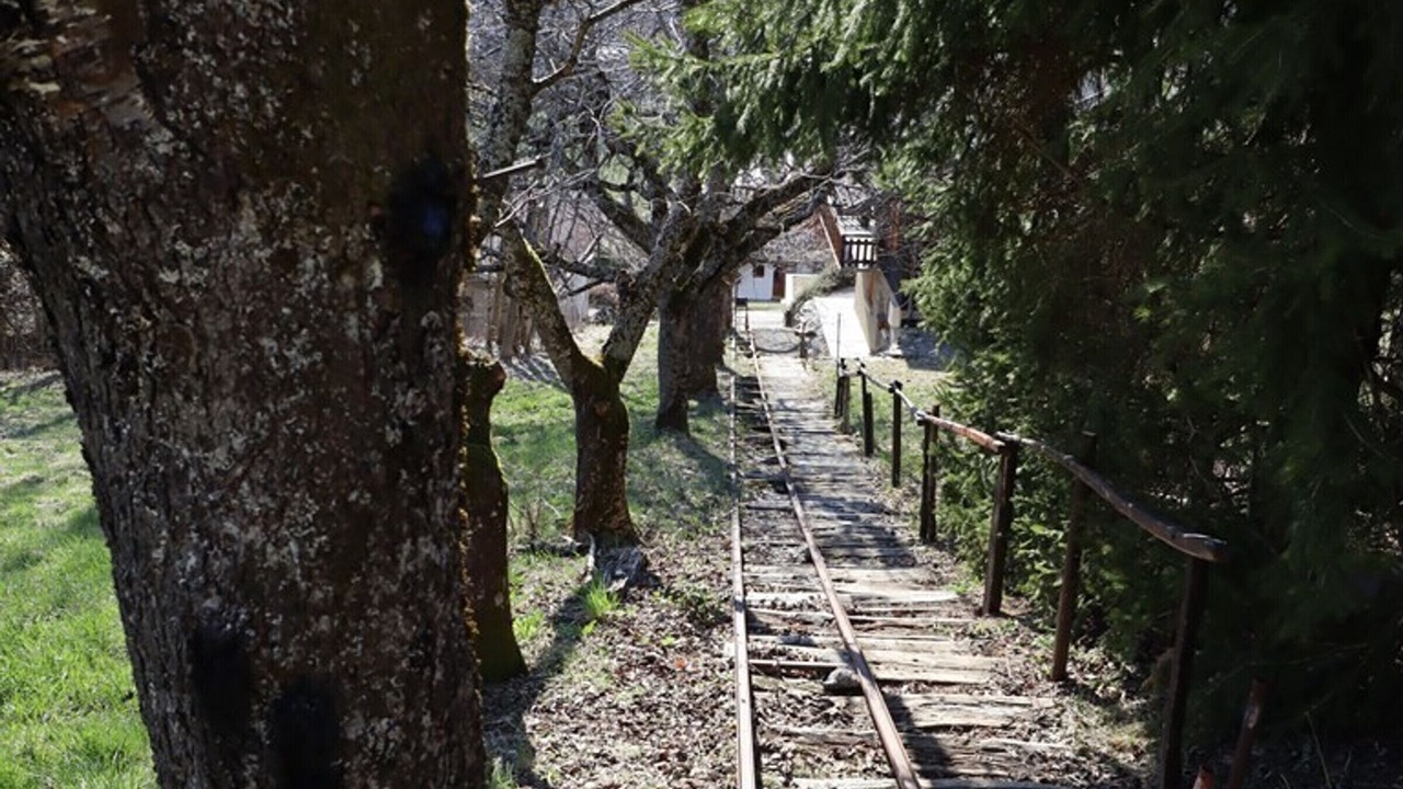 Photo of Outdoor in Beaufort