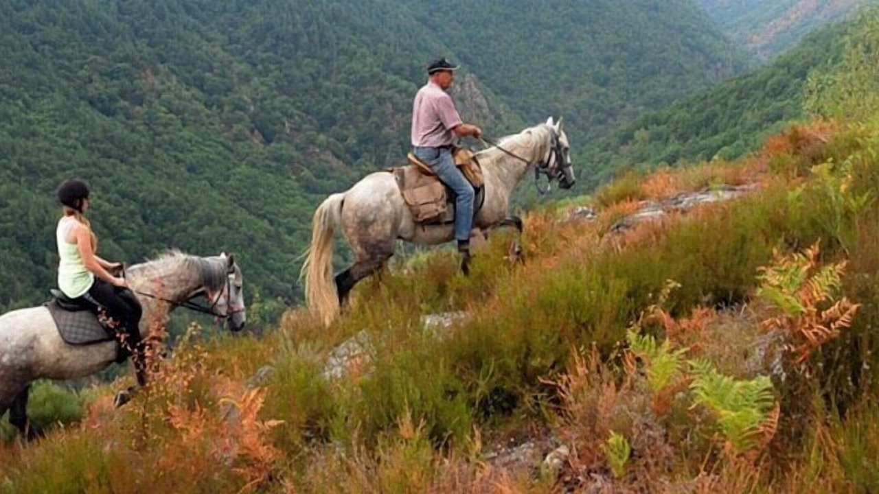 Photo of Others in Saint-Dier-dʼAuvergne